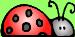 ladybugsmallc